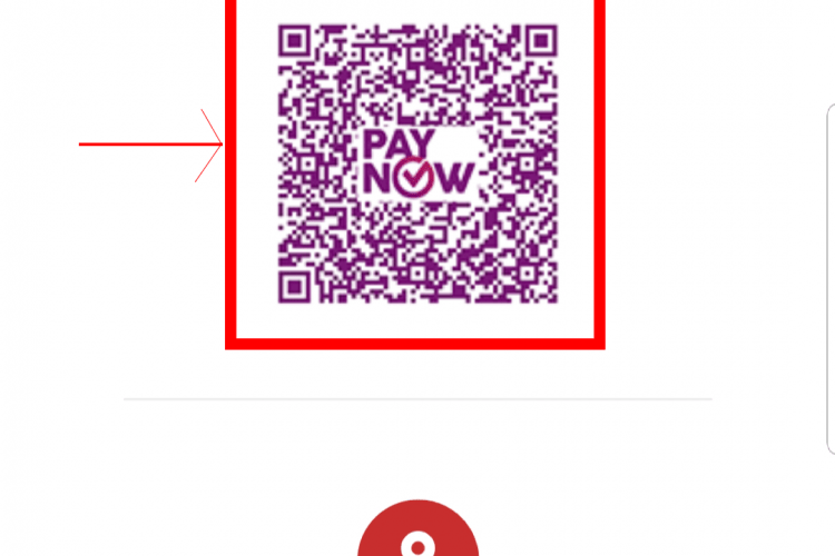 Paynow Step1
