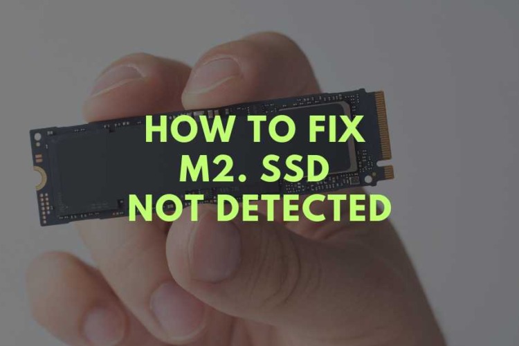 ssd not detected